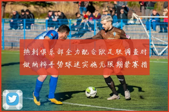 热刺俱乐部全力配合欧足联调查对做纳粹手势球迷实施无限期禁赛措施